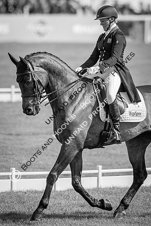 Badminton Horse Trials