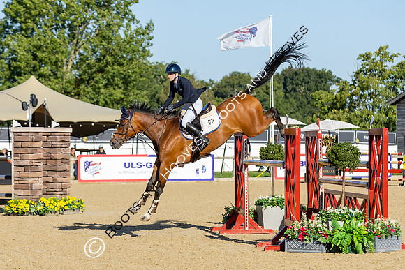 The Al Shira'aa British Young Horse Championships