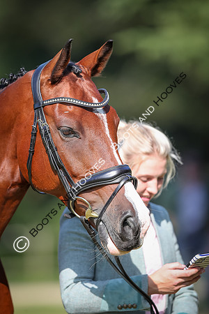 Blenheim Palace International Horse Trials