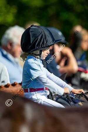 Science Supplements All England Jumping Championships