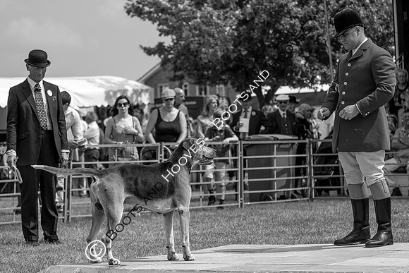 Festival of Hunting