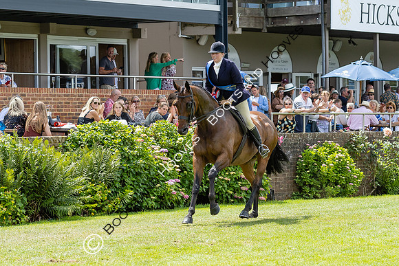 The Al Shira'aa Hickstead Derby Meeting