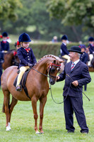 The Agria Royal International Horse Show