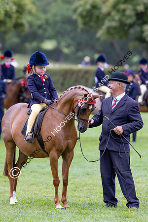The Agria Royal International Horse Show
