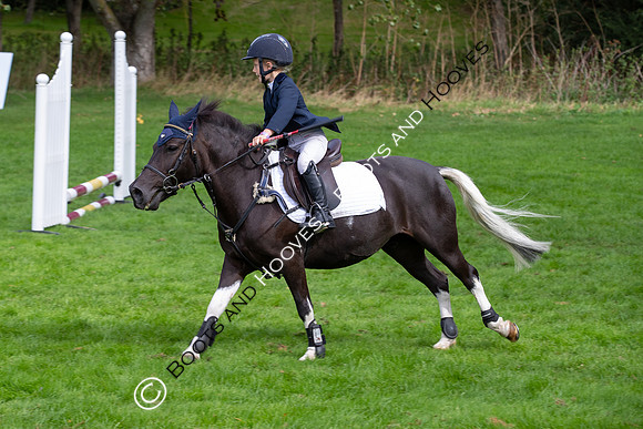 Science Supplements All England Jumping Championships