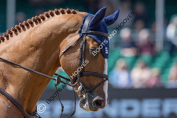 Royal Windsor Horse Show
