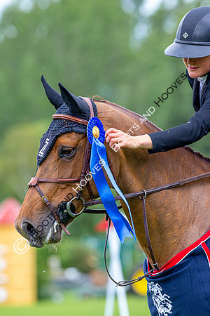 Showjumping