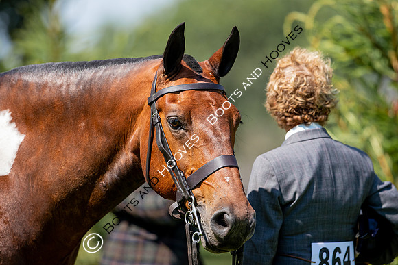 The Prenetics Royal International Horse Show