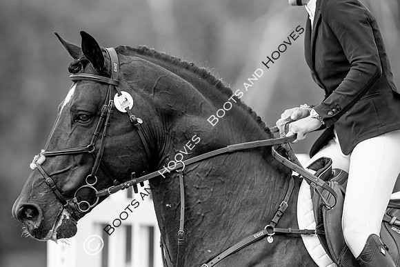 Science Supplements All England Jumping Championships