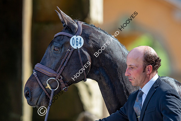 Badminton Horse Trials