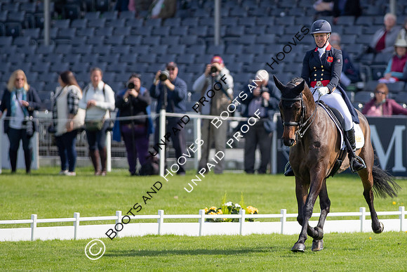 Badminton Horse Trials