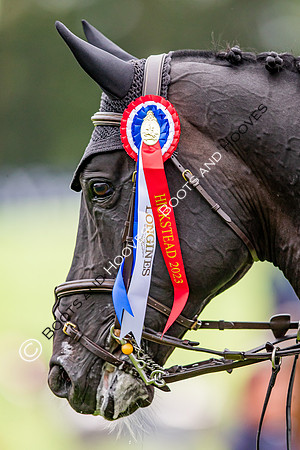 The Longines Royal International Horse Show