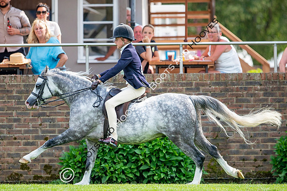 The Prenetics Royal International Horse Show