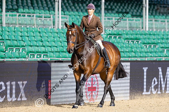 Royal Windsor Horse Show