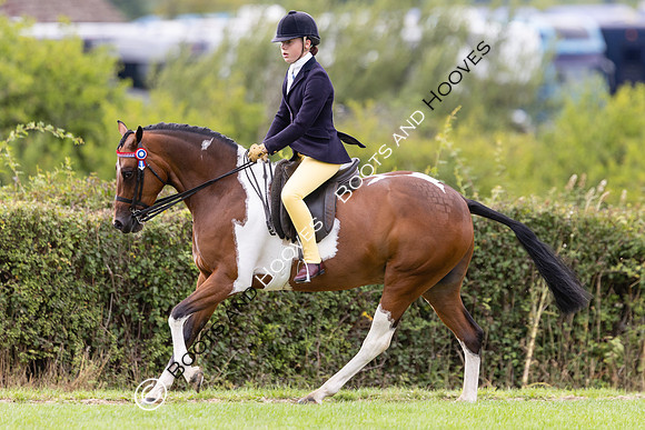 The Royal International Horse Show