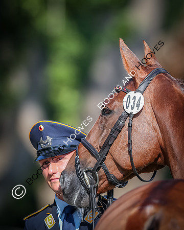 Blenheim Palace International Horse Trials