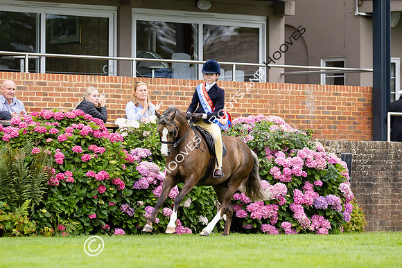 The Agria Royal International Horse Show