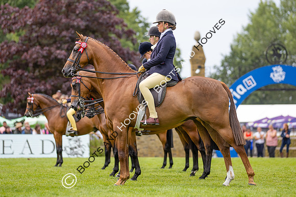 The Agria Royal International Horse Show
