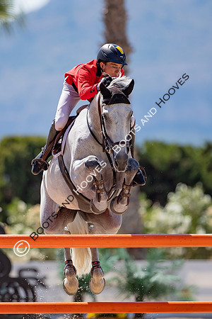 FEI Junior European Championship Young Riders, Juniors & Childre
