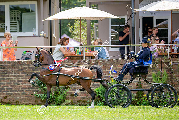 The Prenetics Royal International Horse Show