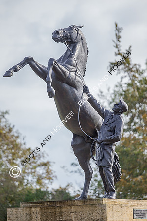 Newmarket