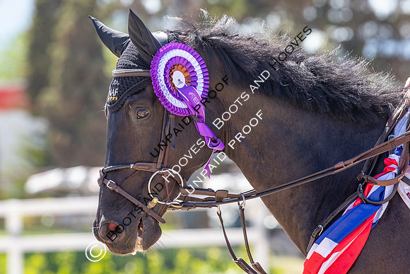 FEI Junior European Championship Young Riders, Juniors & Childre