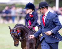 The Agria Royal International Horse Show