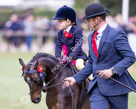 The Agria Royal International Horse Show