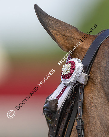 Royal Windsor Horse Show