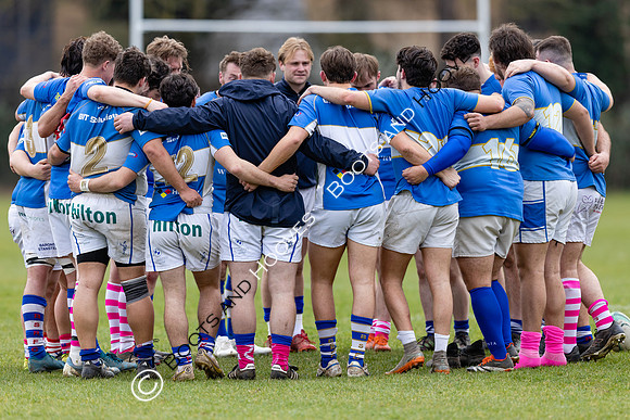 BSRFC v Royston