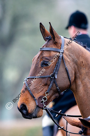 The Ledbury Hunt