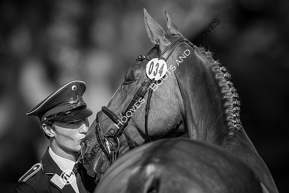 Blenheim Palace International Horse Trials