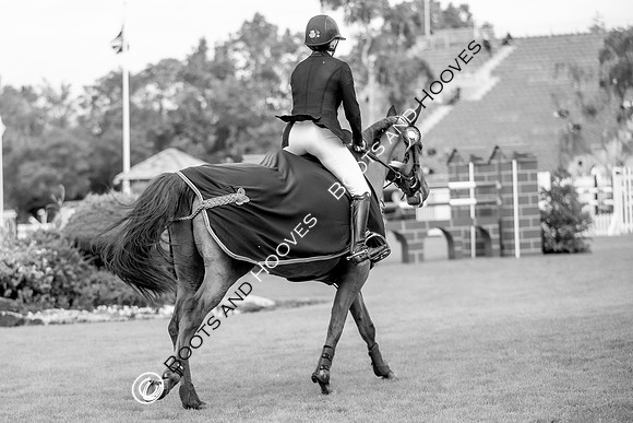 Showjumping