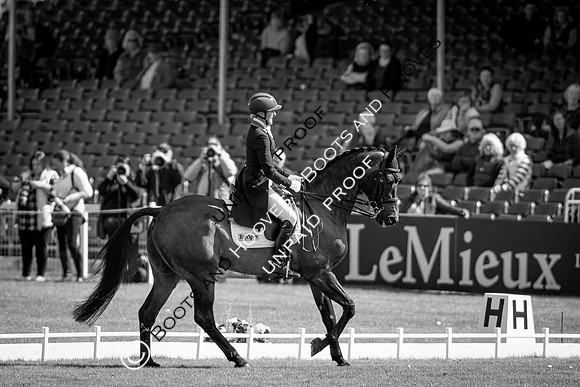 Badminton Horse Trials