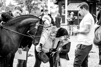 The Agria Royal International Horse Show