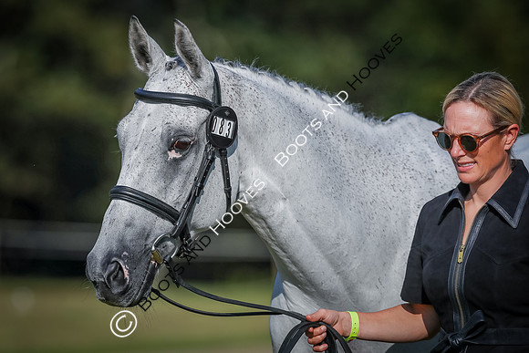 Blenheim Palace International Horse Trials
