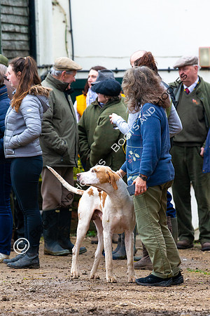 The Ledbury Hunt