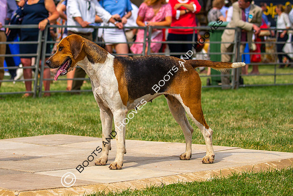Festival of Hunting