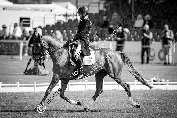 Badminton Horse Trials