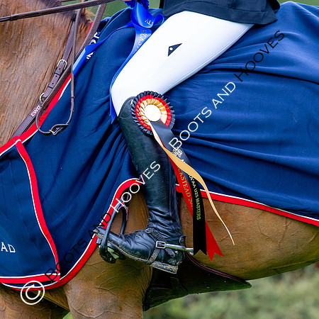 Showjumping