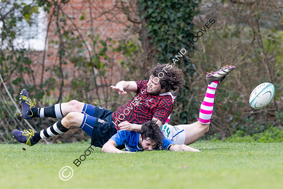 BSRFC v Royston