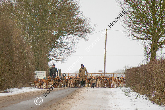 Hound Exercise