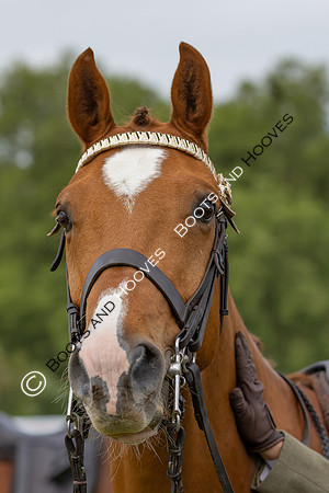 Royal Windsor Horse Show