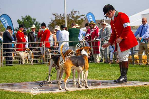 Festival of Hunting