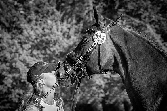 Blenheim Palace International Horse Trials