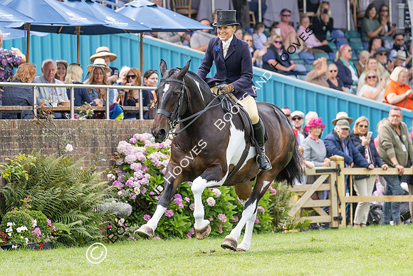 The Agria Royal International Horse Show