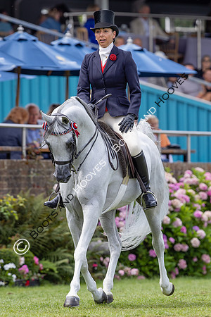 The Agria Royal International Horse Show