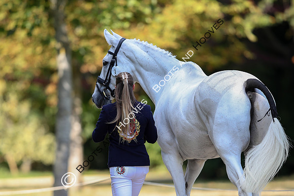 Blenheim Palace International Horse Trials