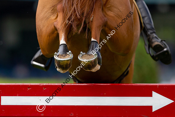 Showjumping