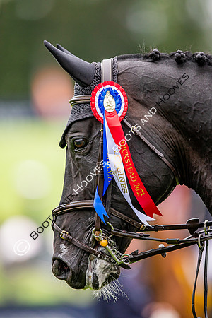 The Longines Royal International Horse Show